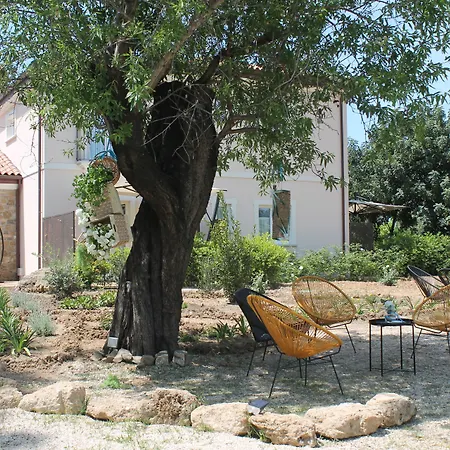 Tenuta Bellelli Castellabate