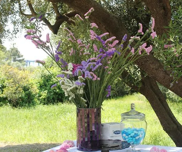 Tenuta Bellelli Castellabate