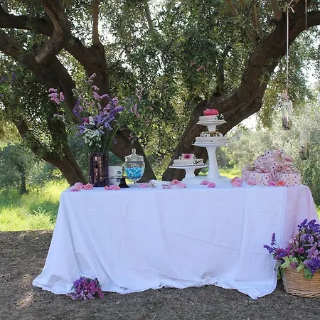 Tenuta Bellelli *