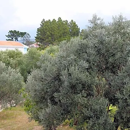 Tenuta Bellelli Hotel Castellabate
